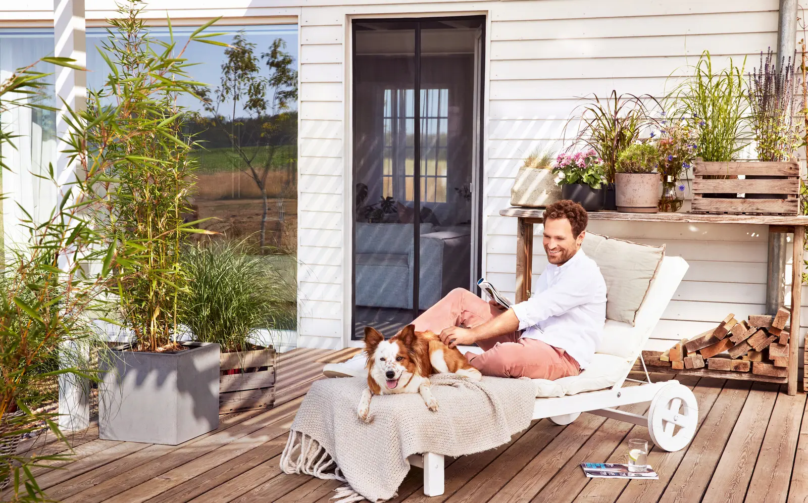 Discover tesa Insect Stop products
